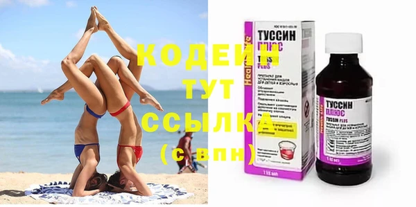прущие крисы Абаза