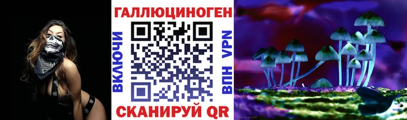 Галлюциногенные грибы Psilocybine cubensis  Власиха 