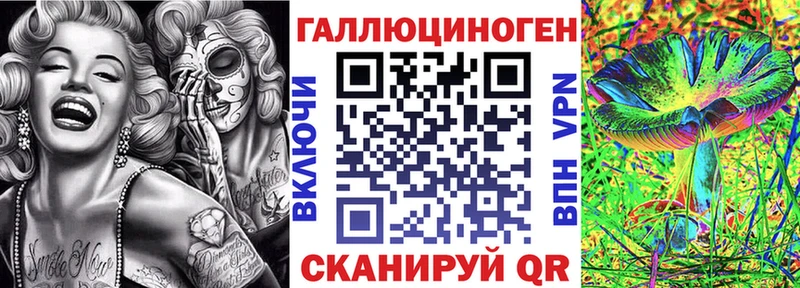 Псилоцибиновые грибы Cubensis Власиха